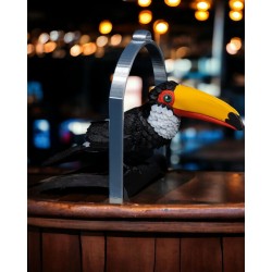 Toucan